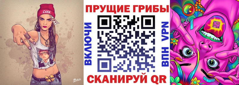 Псилоцибиновые грибы GOLDEN TEACHER  omg зеркало  Переславль-Залесский 
